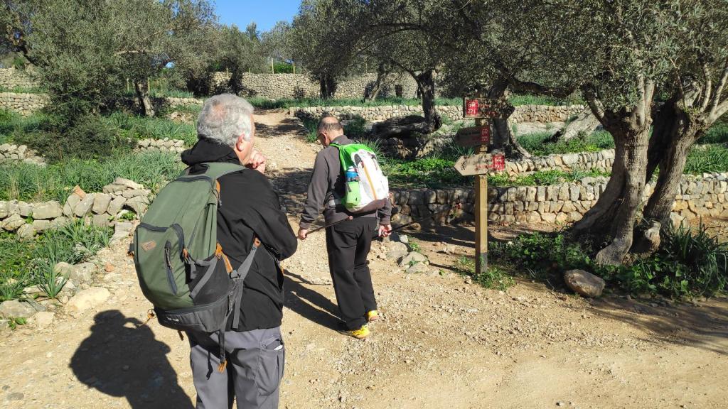 Dos personas caminando por un sendero rural en un paisaje de olivos, con señalización del GR-221 visible en el lado derecho.
