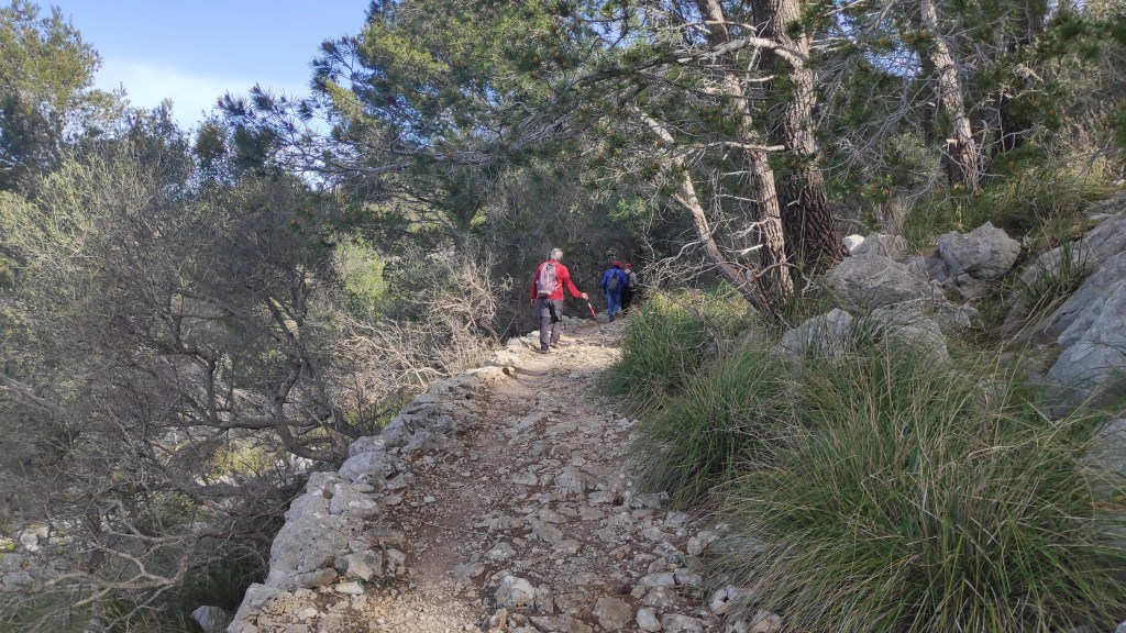 Sendero montañoso en un bosque, donde se ven personas caminando por un camino de tierra rodeado de vegetación.