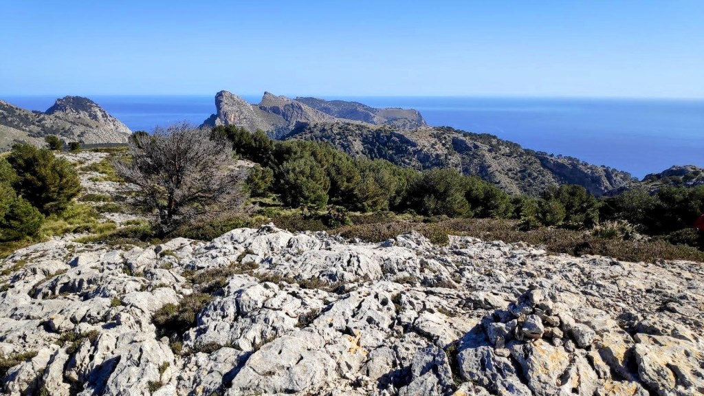 Vista panorámica desde la cima de Na Blanca, mostrando el paisaje montañoso y la costa de Formentor bajo un cielo despejado.