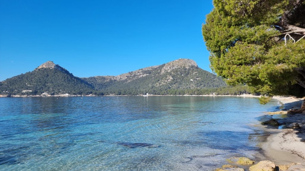 Vista panorámica de la Playa de Formentor con montañas de fondo y agua cristalina.