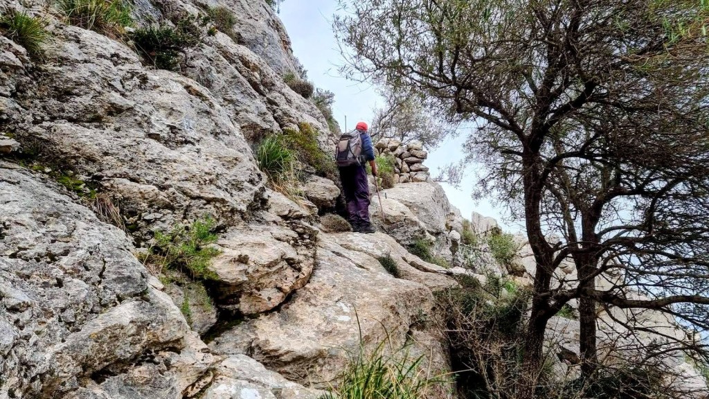 Senderista ascendiendo por una ruta rocosa en la Sierra de Alfàbia, rodeado de vegetación y árboles.