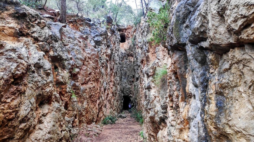 Vista de un sendero estrecho rodeado de altas paredes de roca en la ruta 'Finca de Son Quint', con vegetación en la parte superior.