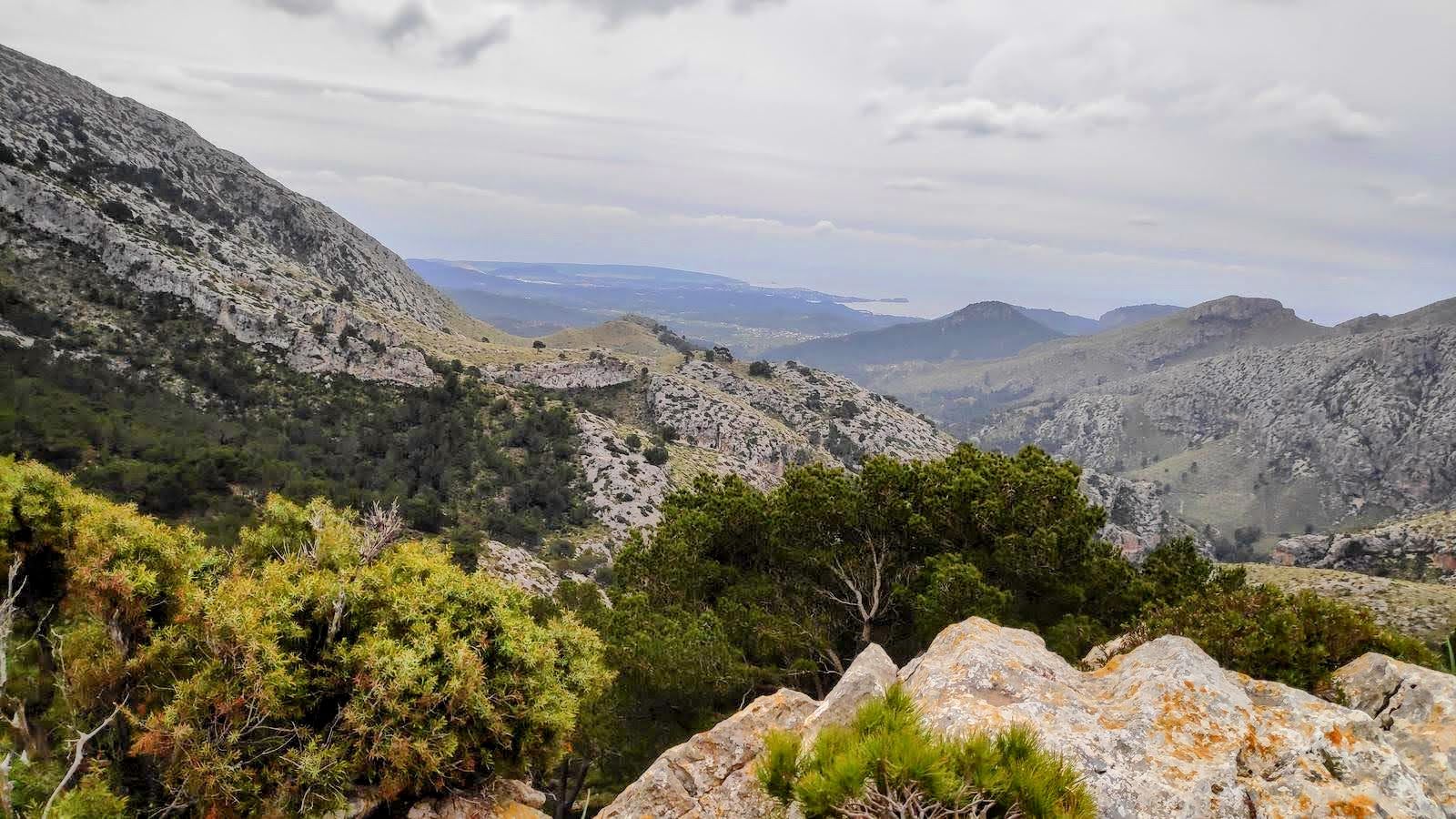 Vistas desde Sa Moleta Rasa, mostrando montañas rocosas y vegetación en primer plano, con vistas al mar en la distancia.