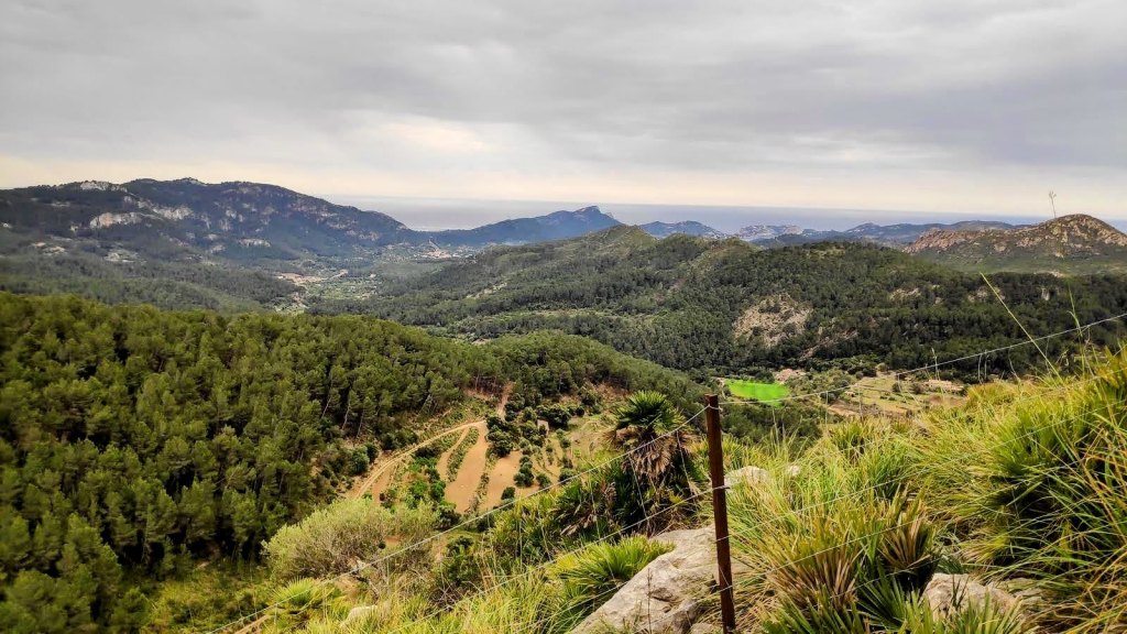 Vista panorámica de un paisaje montañoso con árboles verdes, colinas y un cielo nublado, mostrando caminos serpenteantes en el terreno.