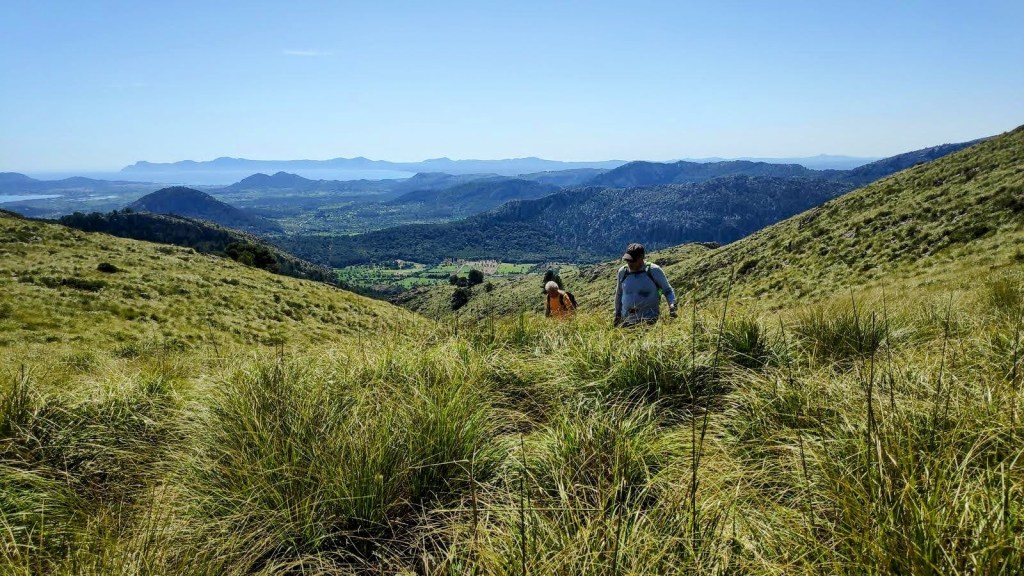 Puig Gros de Ternelles 2 - Caminando por Mallorca Dos senderistas recorriendo un sendero en el Coll de Tirapau, cubierto de hierba, con vistas panorámicas hacia un valle y montañas en el fondo, bajo un cielo despejado.