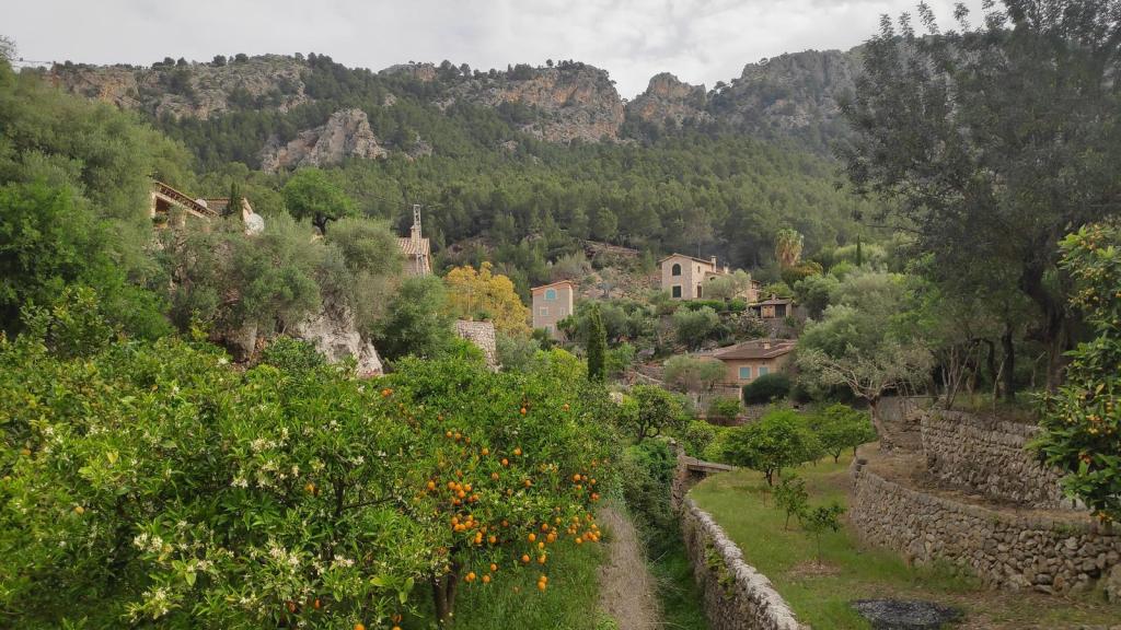 Vista del Llogaret (aldea) de sa Figuera, en Sóller, Mallorca, con huertos de naranjos y olivos, casas de piedra y montañas al fondo.
