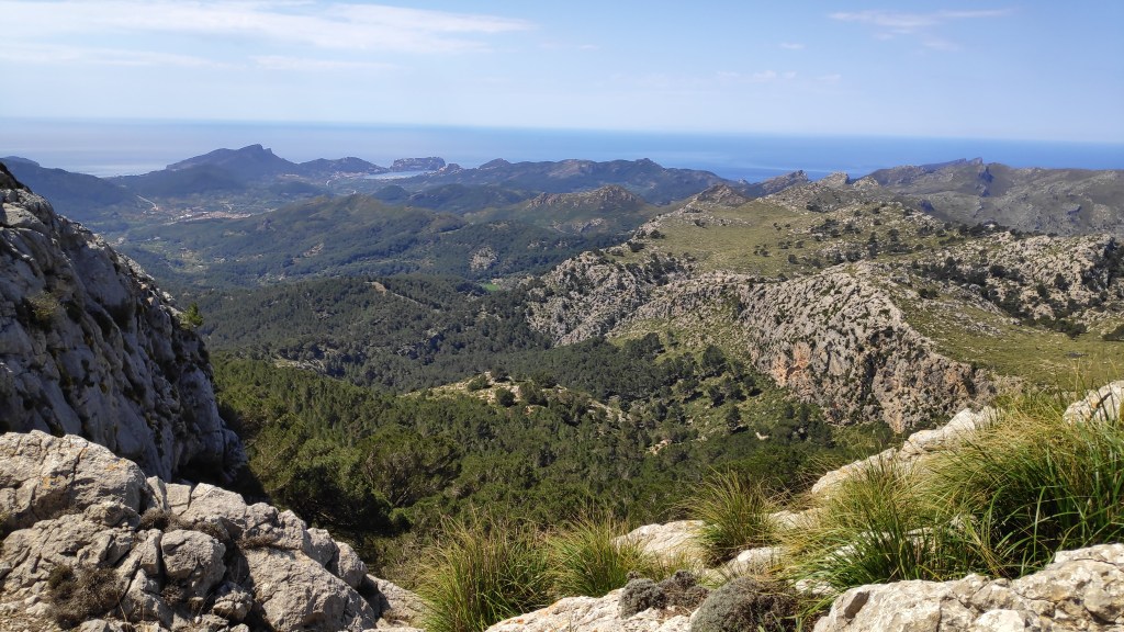 Panorámica que se observa desde el Pas des Bastó, mostrando montañas y la costa de Mallorca al fondo, con vegetación en primer plano.