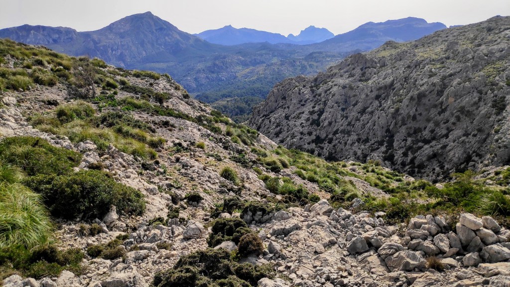 Puig Gros de Ternelles 2 - Caminando por Mallorca Vista panorámica del terreno montañoso de la ruta 'Puig Gros de Ternelles' con vegetación y rocas, mostrando un entorno natural en Mallorca.
