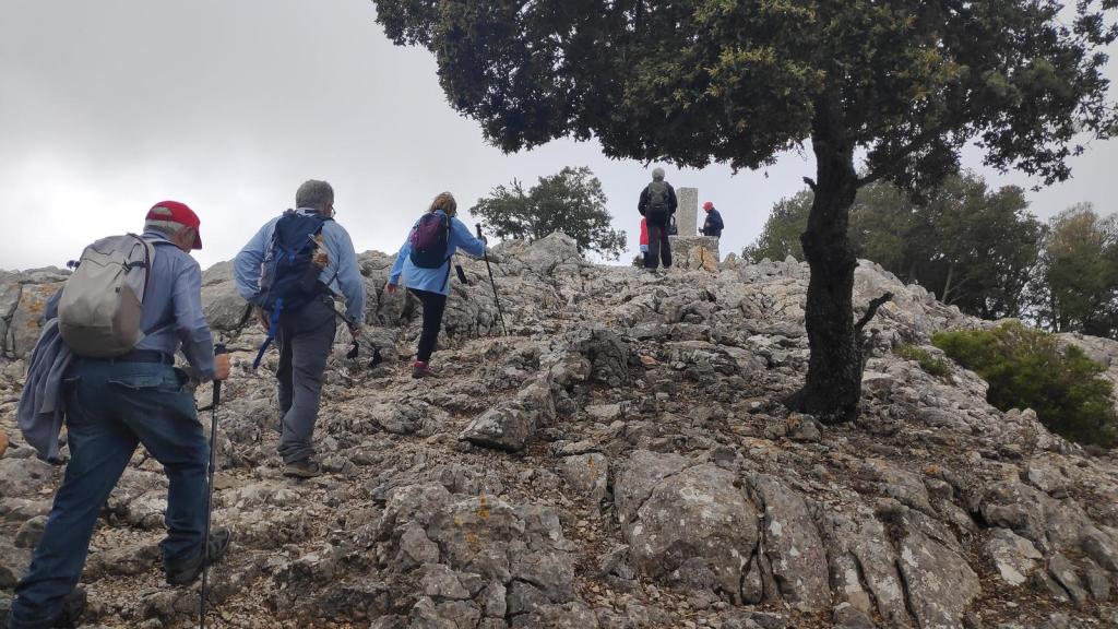 Grupo de senderistas ascendiendo por Sa Talaia Vella en la ruta 'Mirador de ses Puntes' en Valldemossa, con árboles y nubes en el fondo.