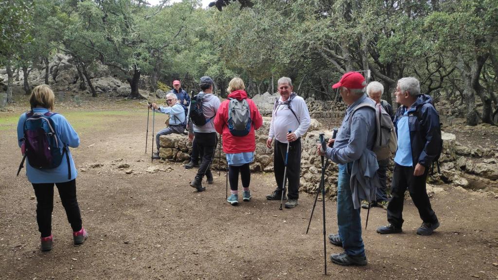 Miradores de les Puntes y otros miradores de Valldemossa - Caminando por Mallorca Grupo de senderistas en el Pla d’es Pouet, rodeados de árboles y sentados en una roca, mientras se preparan para continuar su ruta en la montaña.