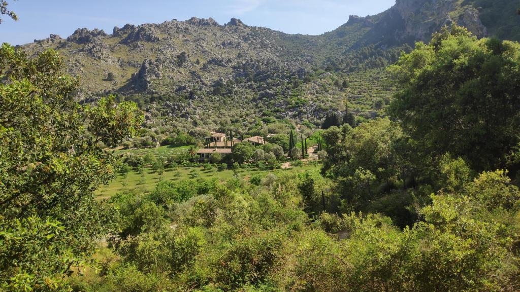 Vista de la finca de Moncaire rodeada de montañas y vegetación densa, con estructuras arquitectónicas visibles en el paisaje.
