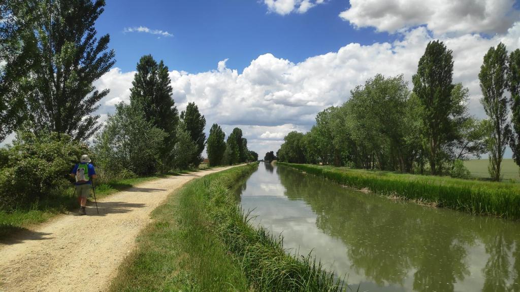 Etapa 15:Castrojeriz-Frómista - Caminando por Mallorca Peregrino caminando por un camino de tierra junto al Canal de Castilla, flanqueado por árboles y con un cielo nublado en el fondo.