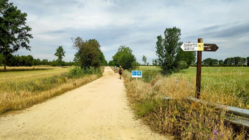 Etapa 17:Carrión de los Condes-Ledigos - Caminando por Mallorca Vía Aquitania, en una zona rural, bordeado de vegetación y árboles, con señales que indican direcciones y distancias hacia diferentes localidades del Camino de Santiago.