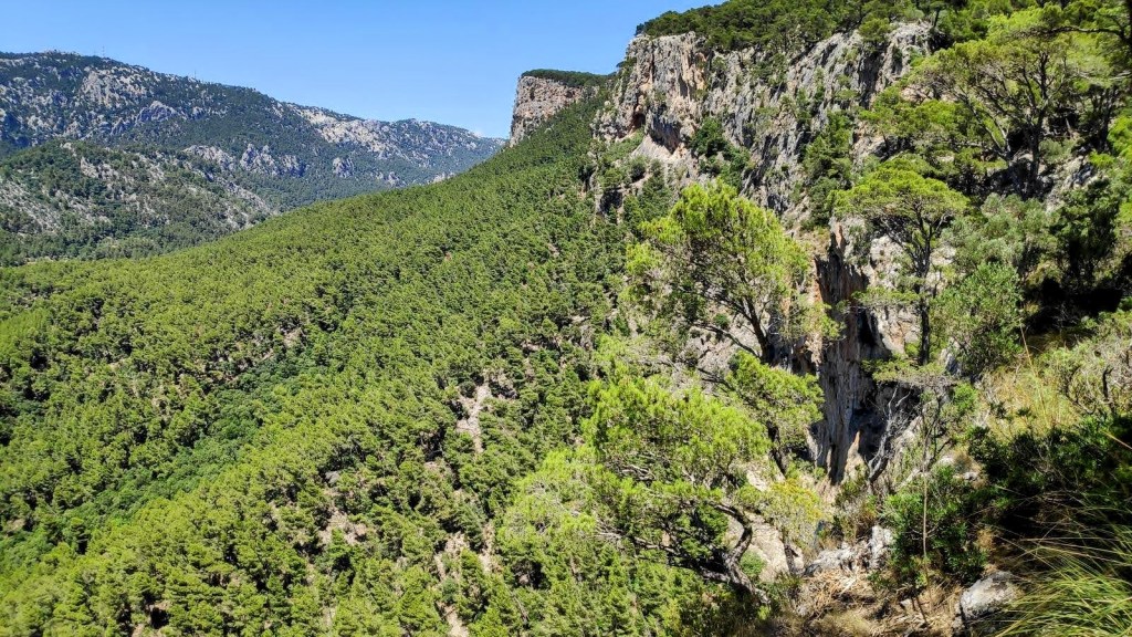 Vista panorámica de un paisaje montañoso y boscoso, con vegetación densa y acantilados en el fondo, durante la ruta 'Peña de Honor por el Paso del Fraguel'.