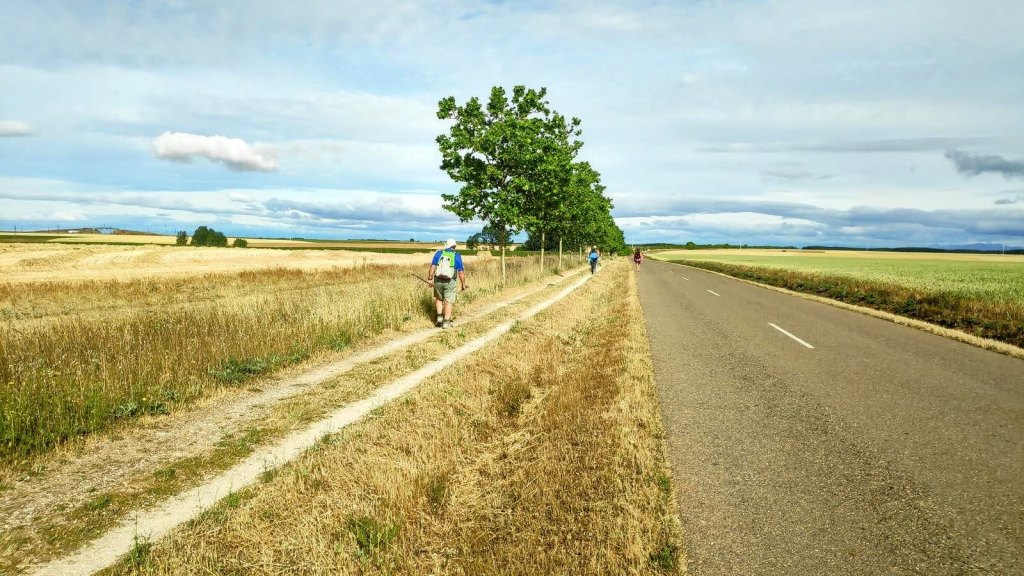 CAMINO DE SANTIAGO-Etapa 19: Bercianos del Real Camino-Mansilla de las&nbsp;Mulas