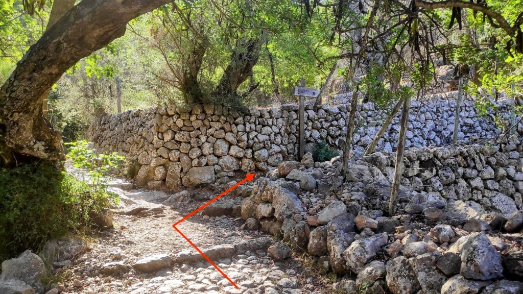 Sendero de piedra que gira a la derecha, rodeado de vegetación y muros de piedra en un entorno natural.