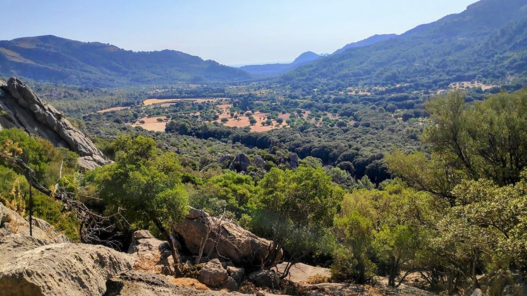 Vista panorámica del valle con montañas al fondo, desde un punto elevado, mostrando vegetación densa y campos agrícolas en la parte inferior.