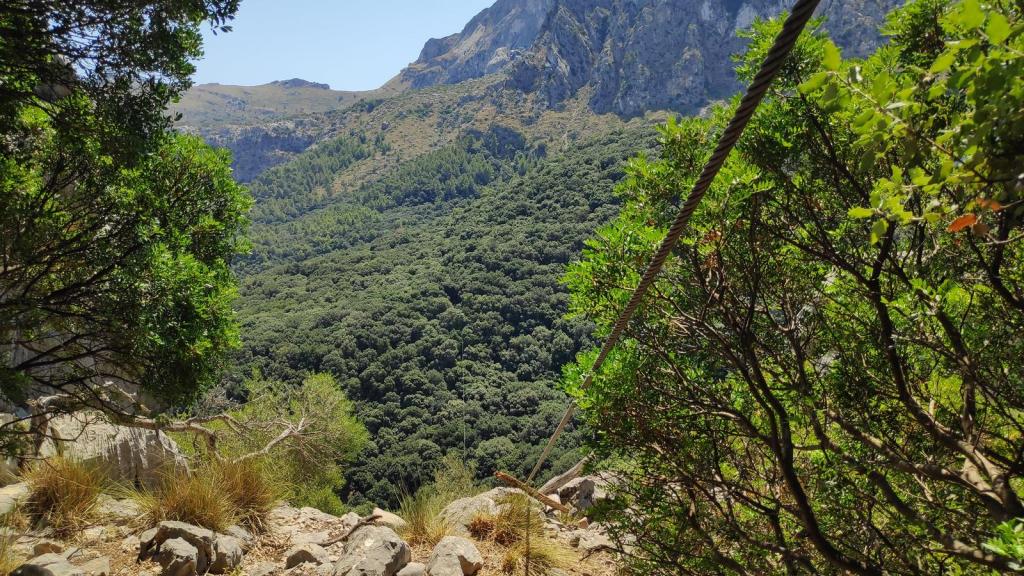 CLOT DE DÉU Y COLL DE MOIXARRINS - Caminando por Mallorca Vista del valle desde un punto elevado, con un cable de tirolina visible entre la vegetación y montañas al fondo.