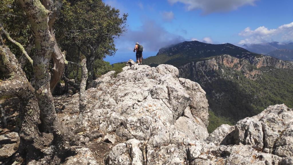 Senderista en la cima rocosa de la Serra de Puntals de Planicia, rodeado de árboles y montañas con vistas al mar.