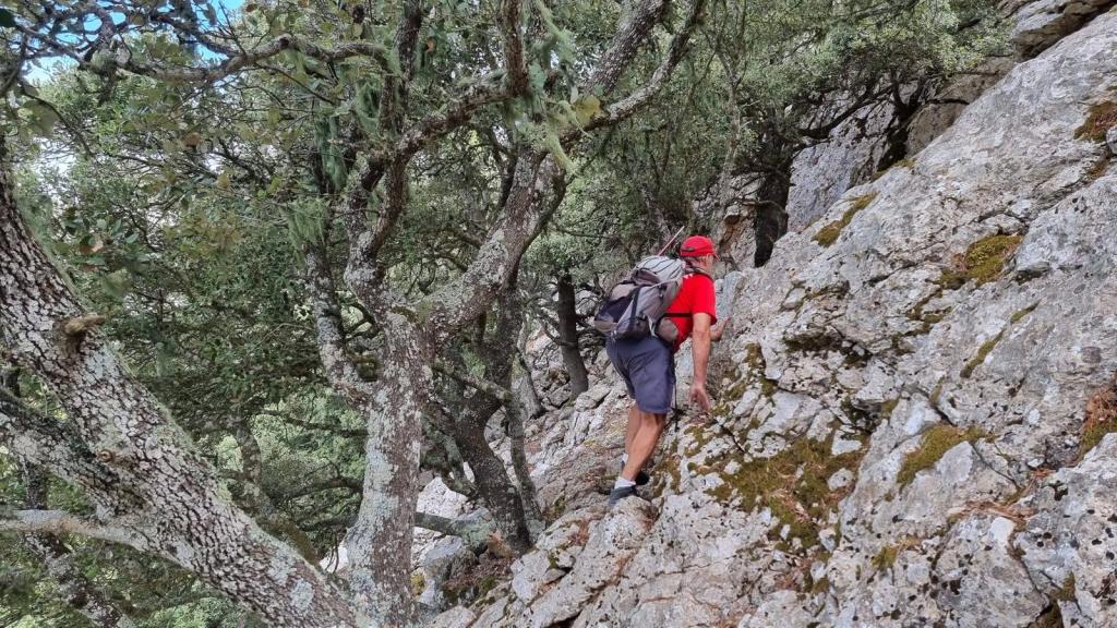 Senderista ascendiendo por un terreno rocoso en la ruta Puntals de Planicia, rodeado de árboles y vegetación.
