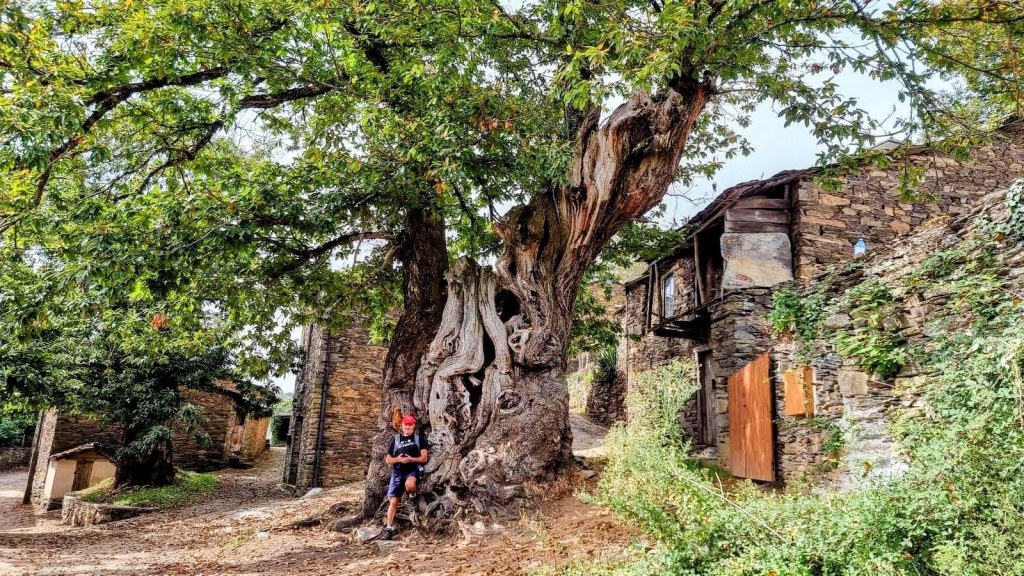 CAMINO DE SANTIAGO-Etapa 27: O Cebreiro –&nbsp;Triacastela