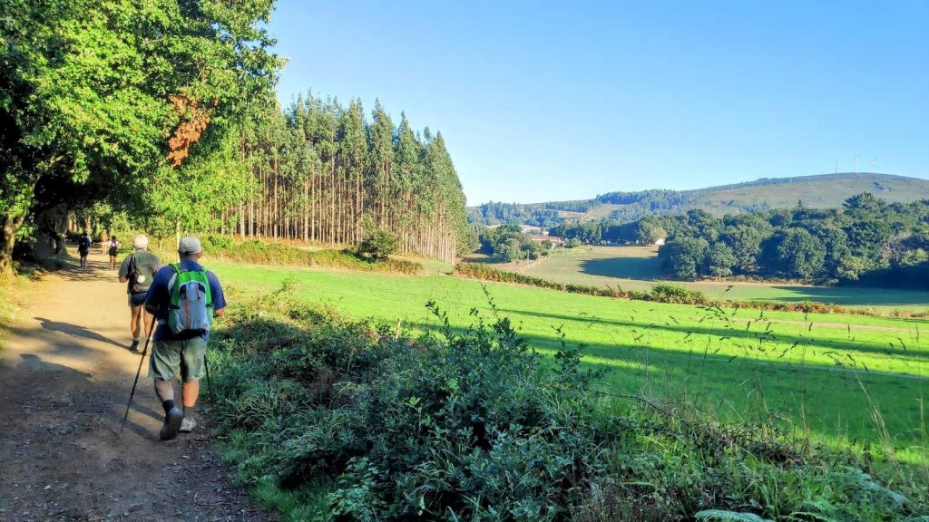 CAMINO DE SANTIAGO-Etapa 31: Palas de Rei-Ribadiso de&nbsp;Abaixo