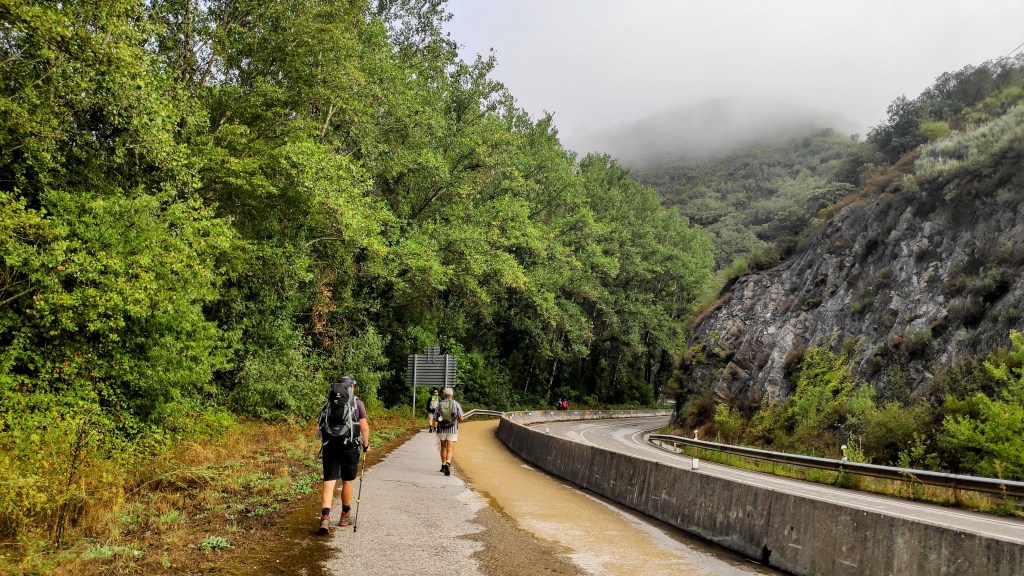 Etapa 26: Villafranca del Bierzo-Cebreiro - Caminando por Mallorca Peregrinos caminando por un sendero junto a un carretera, flanqueados por árboles y montañas envueltas en niebla.