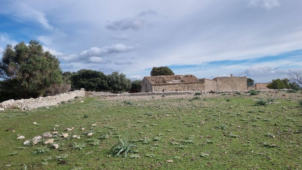 Ruinas de casas de piedra en un paisaje verde con árboles al fondo y cielo nublado.