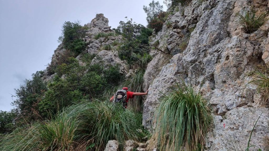 Un senderista asciende por una pared rocosa cubiertas de vegetación durante la ruta 'Serra de la Coma por el Pas del Llençol'.