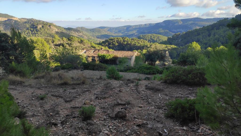 Vista panorámica de un paisaje montañoso con las casas de Muntanya en ruinas rodeado de vegetación, incluyendo pinos y arbustos.