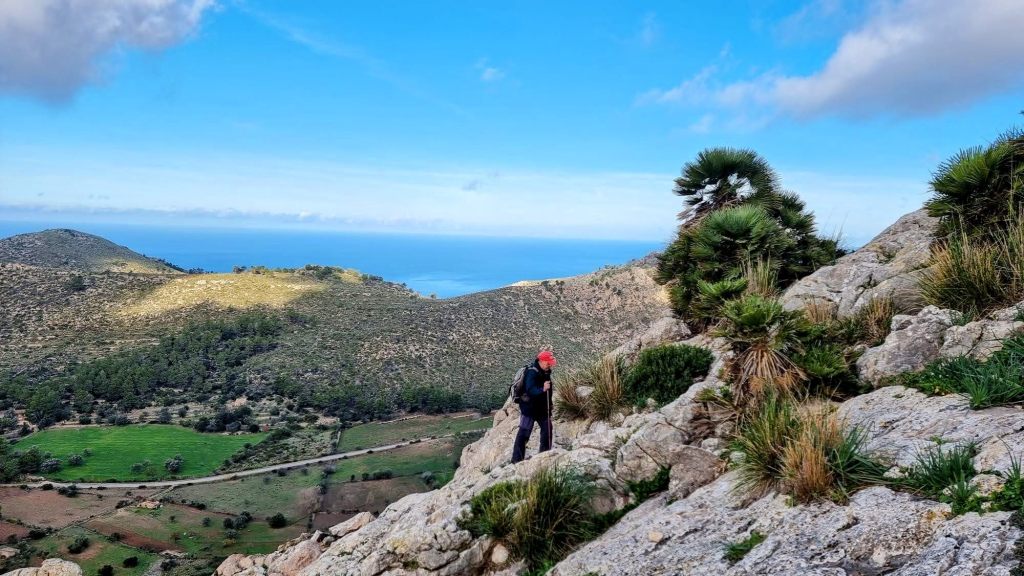 PUIG DES AVENCS Y COMA CLOVA desde el Coll de sa&nbsp;Gramola