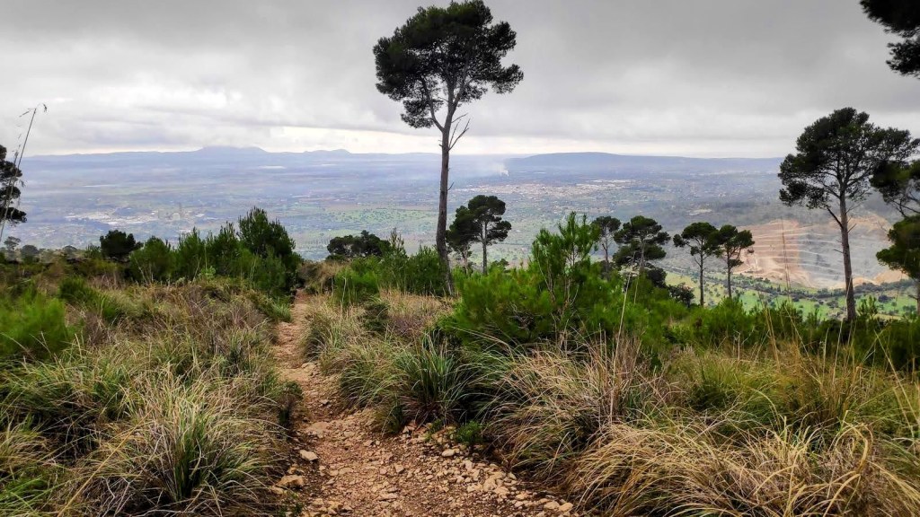 Imagen de un sendero en la montaña con vegetación y árboles, con vistas panorámicas hacia el valle bajo un cielo nublado.