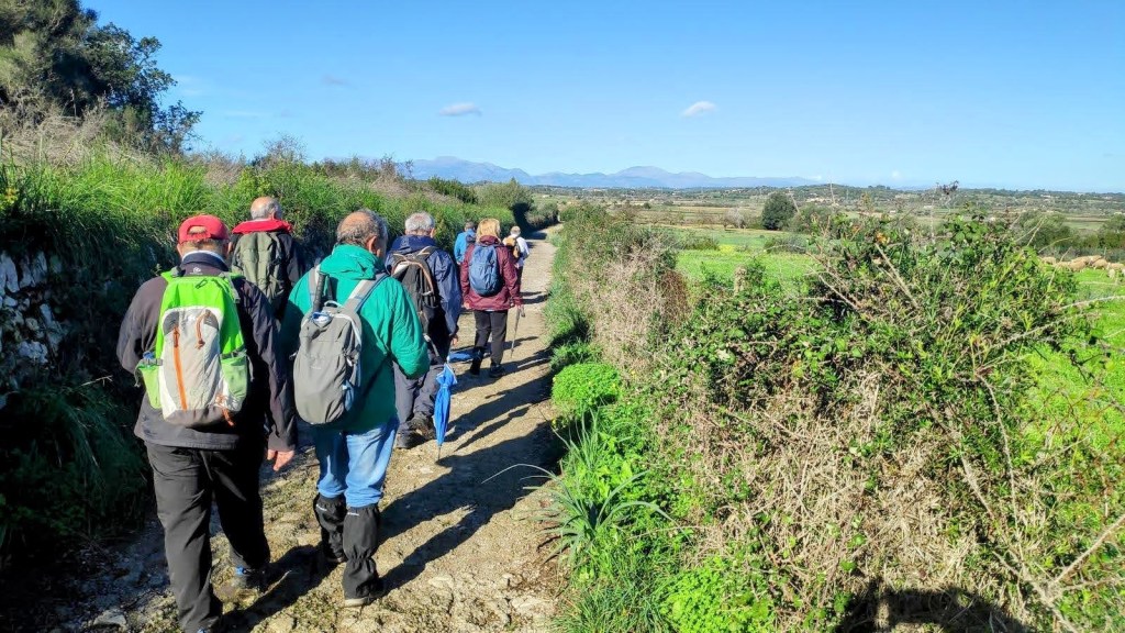 Grupo de personas caminando por un sendero rural rodeado de vegetación y campos en la ruta hacia el Puig de Bonany.