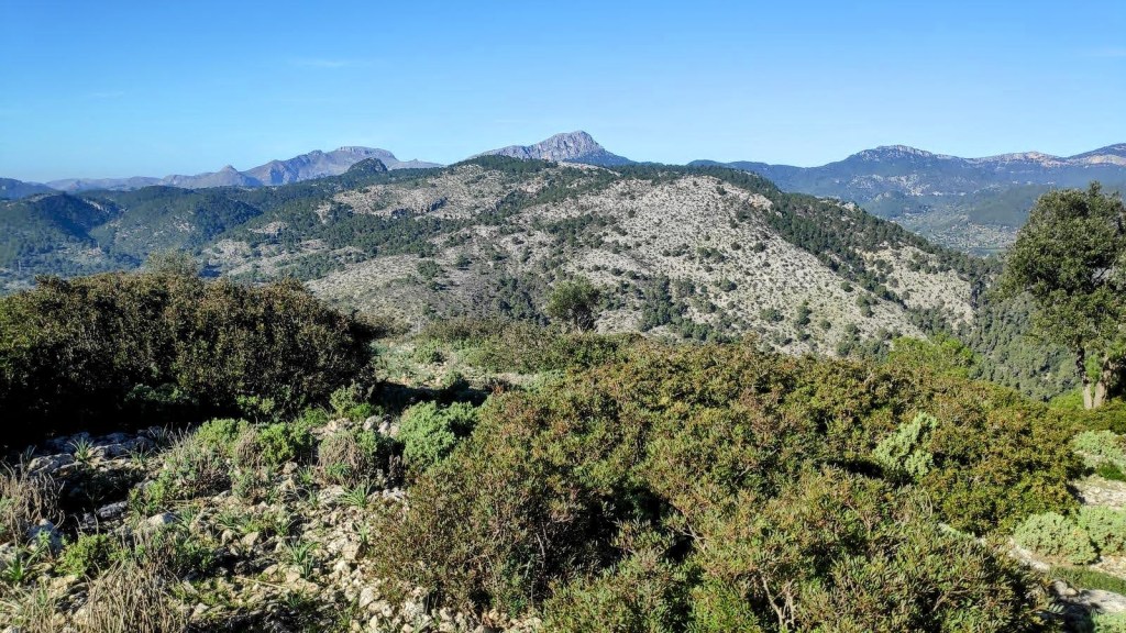 Vista panorámica de la Serra de Na Burguesa, mostrando un paisaje montañoso con vegetación densa y cielo despejado.