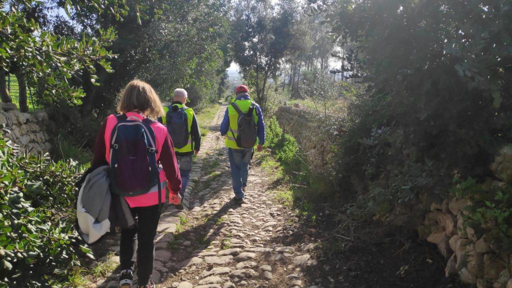 Grupo de senderistas caminando por el Camí Romá, un antiguo camino empedrado rodeado de vegetación en Mallorca.