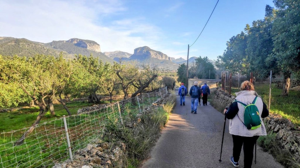 EL CAMÍ ROMÁ desde&nbsp;Consell