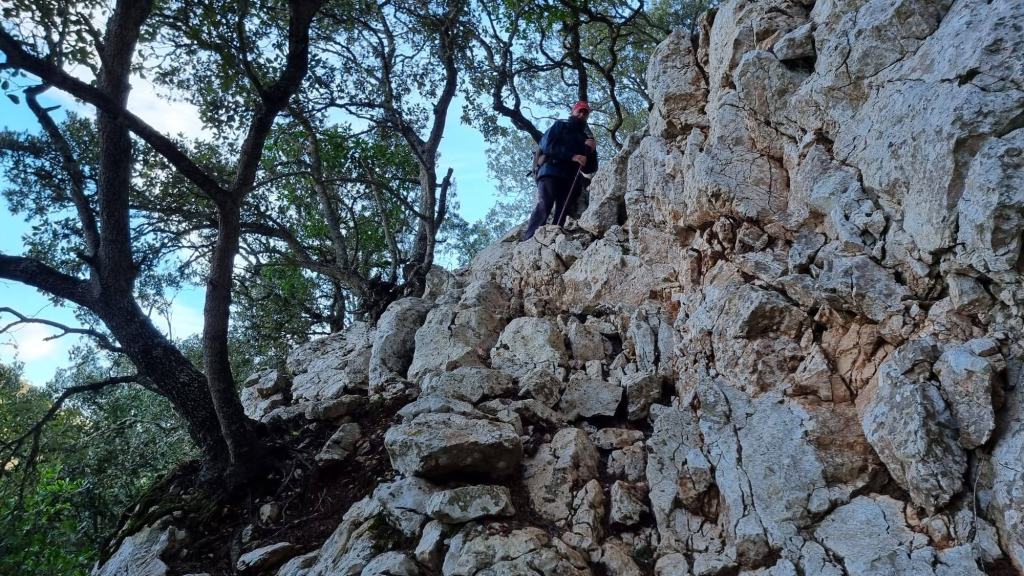 Mola de Son Pacs: Pasos - Caminando por Mallorca Una persona escalando entre rocas en un entorno natural con árboles alrededor, representando un sendero montañoso.