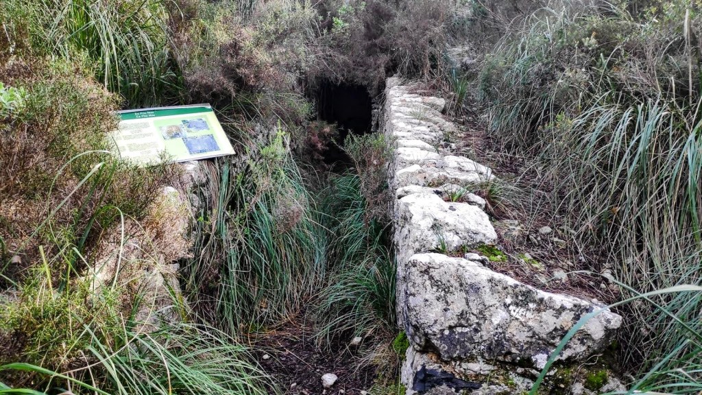Un sendero de piedra rodeado de hierba y arbustos, con un panel informativo visible al lado.