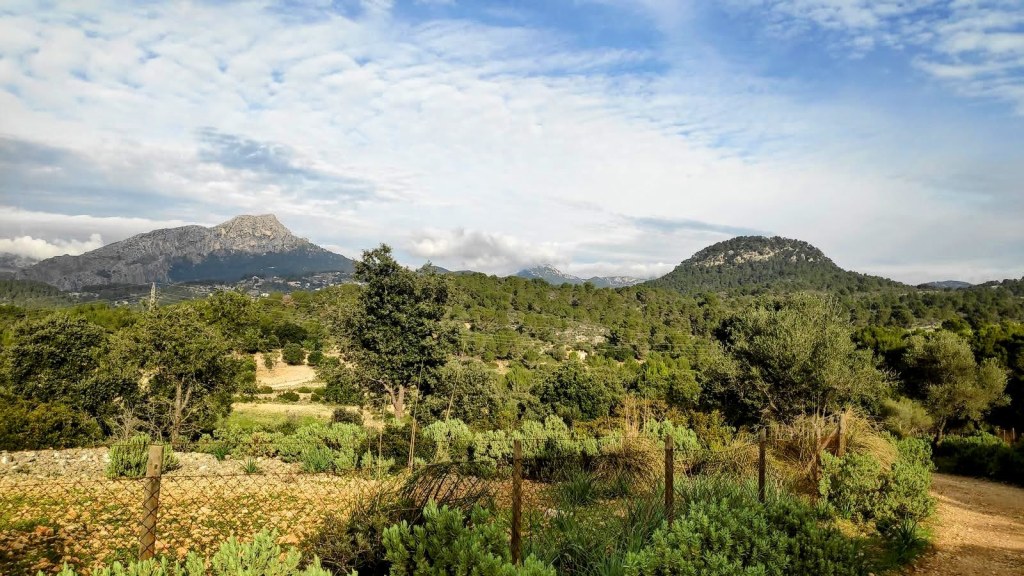 PUIGPUNYENT – CALVIÀ – PUIGPUNYENT por el&nbsp;GR-221