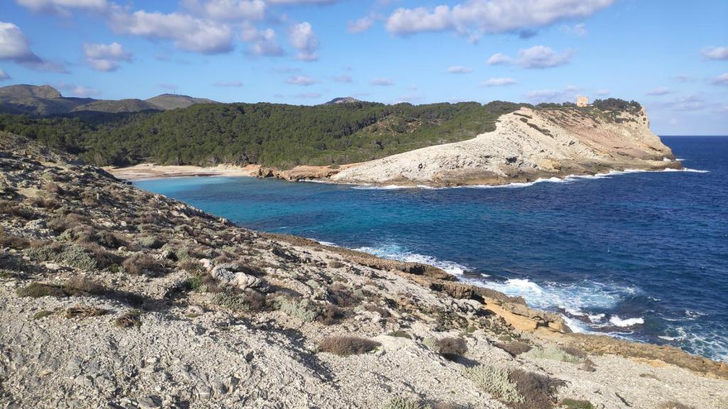 Vista panorámica de la costa con aguas turquesas y un área rocosa, con una torre al fondo. El paisaje muestra vegetación en la colina y un entorno natural prístino.