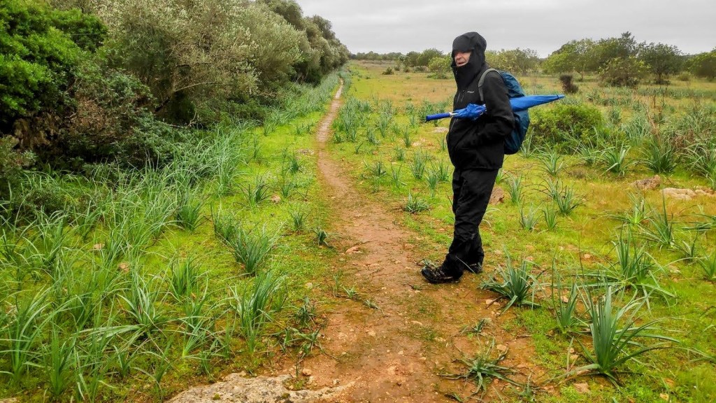 Ruta Artà-Lluc GR 222-Etapa 3 - Caminando por Mallorca