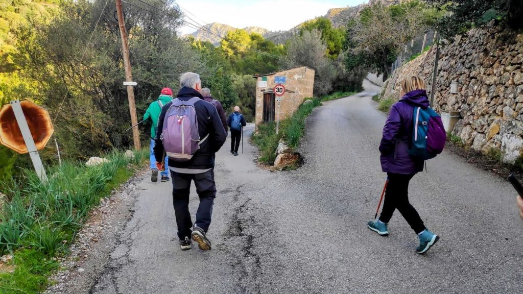 Grupo de senderistas caminando por un camino asfaltado en la ruta hacia el Puig de So Na Vidala, rodeados de vegetación en un entorno montañoso.