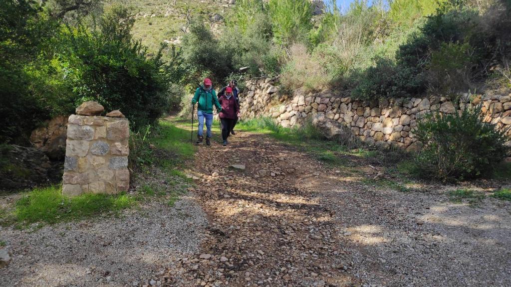 Dos senderistas caminan por un camino de tierra rodeado de vegetación y paredes de piedra en la Ruta 'Puig de So Na Vidala' cerca de Andratx.