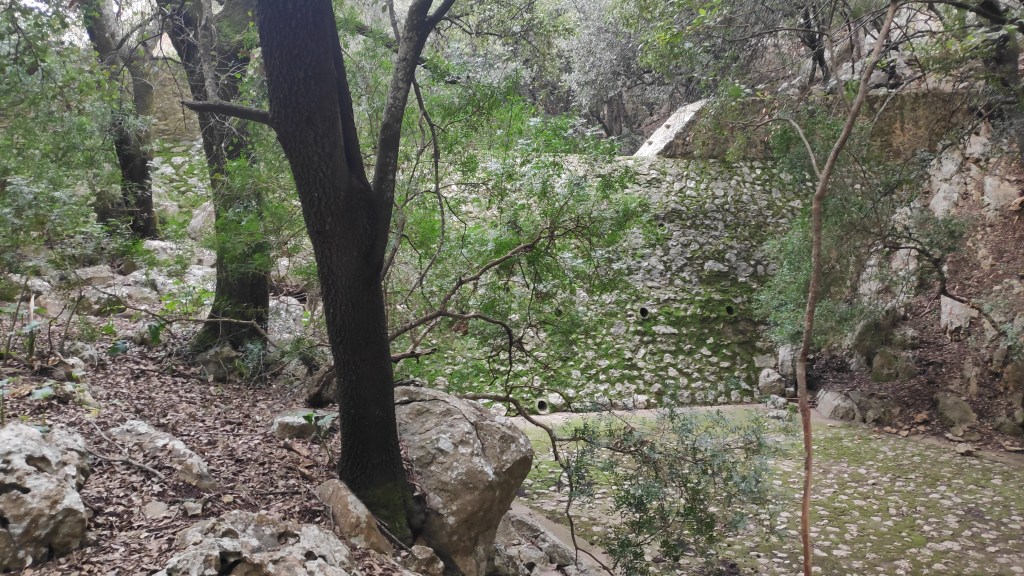 Vista del sendero rodeado de árboles y rocas en la ruta 'Alcanelleta desde la capilla de San Miquel', con una pared de piedra cubierta de musgo al fondo.