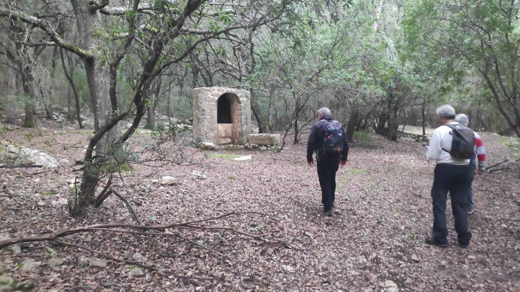 Grupo de personas caminando por un sendero en un bosque, cerca de un pozo, rodeado de vegetación y hojas caídas.