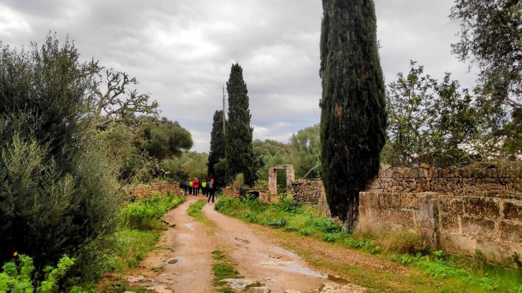 Camino de tierra rodeado de vegetación, con personas caminando en dirección a un paisaje natural en Cala Pi.
