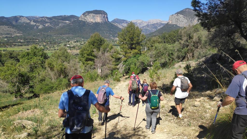 Mirador de la Panda y Penyal de los Bous - Caminando por Mallorca Grupo de senderistas caminando por un sendero en la Serra de Tramuntana, con paisajes montañosos y vegetación de fondo.