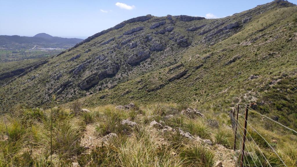 Vista panorámica de la Serra de Sos Sastres, mostrando una ladera cubierta de hierba y rocas, con un paisaje montañoso y un cielo despejado.