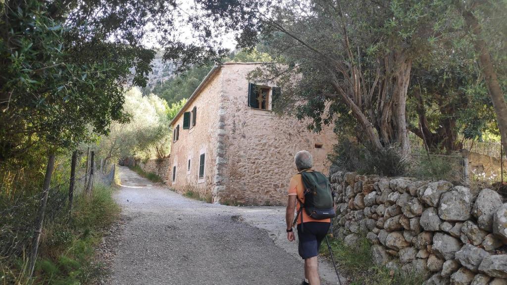 Senderista caminando por un camino de tierra hacia Ca na Moragues, rodeada de vegetación y un muro de piedras.