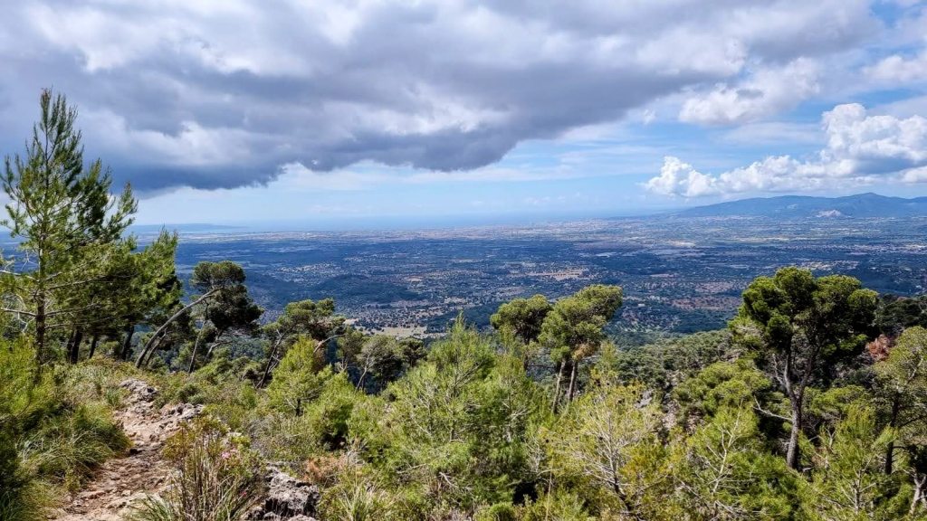 Vista panorámica desde una zona elevada, con un paisaje montañoso cubierto de vegetación, pinos y un cielo nublado.